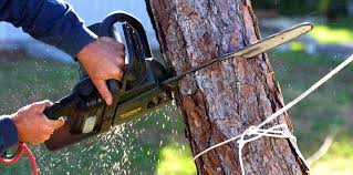 Best Hazardous Tree Removal  in North Lindenhurst, NY