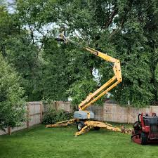 Best Seasonal Cleanup (Spring/Fall)  in North Lindenhurst, NY