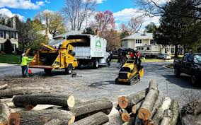 Best Lawn Pest Prevention  in North Lindenhurst, NY