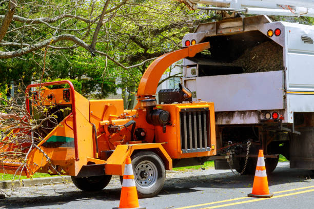 Best Tree and Shrub Care  in North Lindenhurst, NY